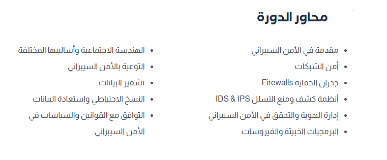 محاور الامن السيراني
